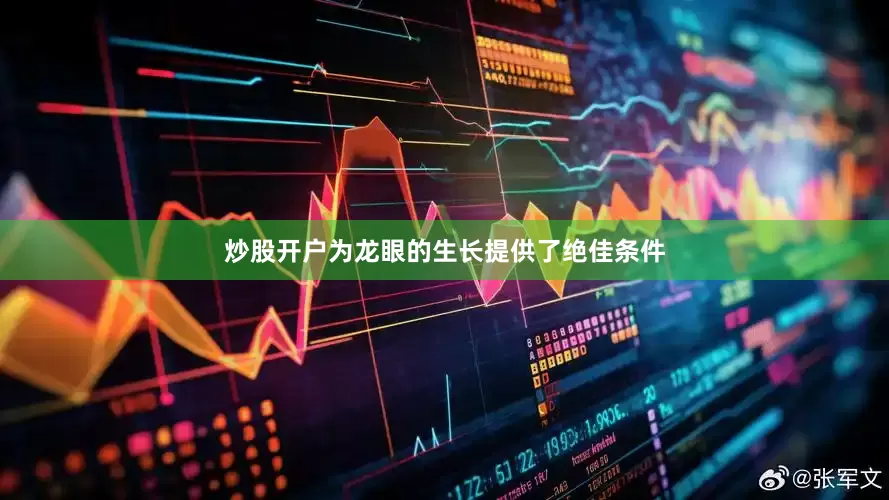 炒股开户为龙眼的生长提供了绝佳条件