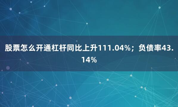 股票怎么开通杠杆同比上升111.04%；负债率43.14%