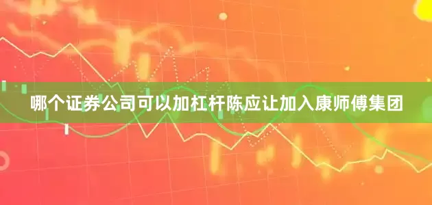 哪个证券公司可以加杠杆陈应让加入康师傅集团